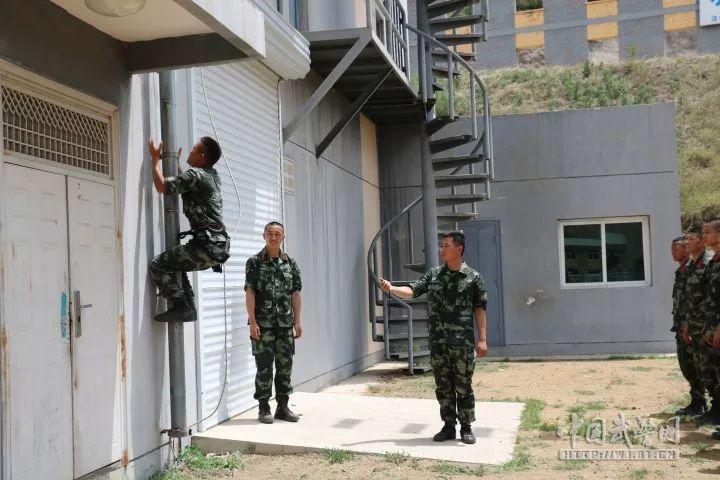 学校套路舞蹈教学方案详解