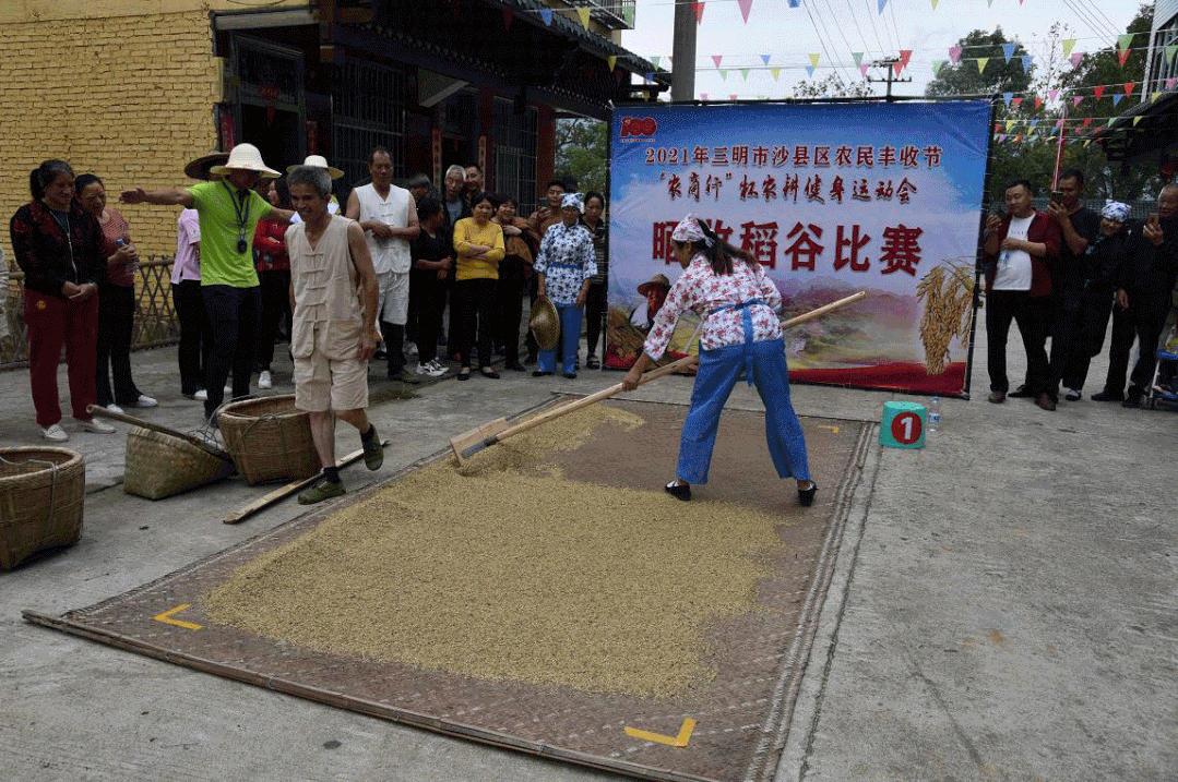 金稻谷舞蹈学校地址揭秘，优秀舞蹈教育的起点