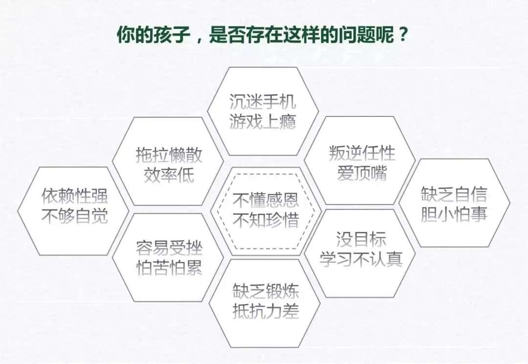 逆境生命力绽放，心理弹性培养的逆境叙事-意义建构-资源动员协同路径